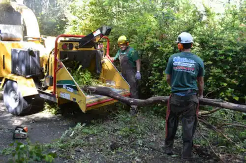 tree services Oak Glen